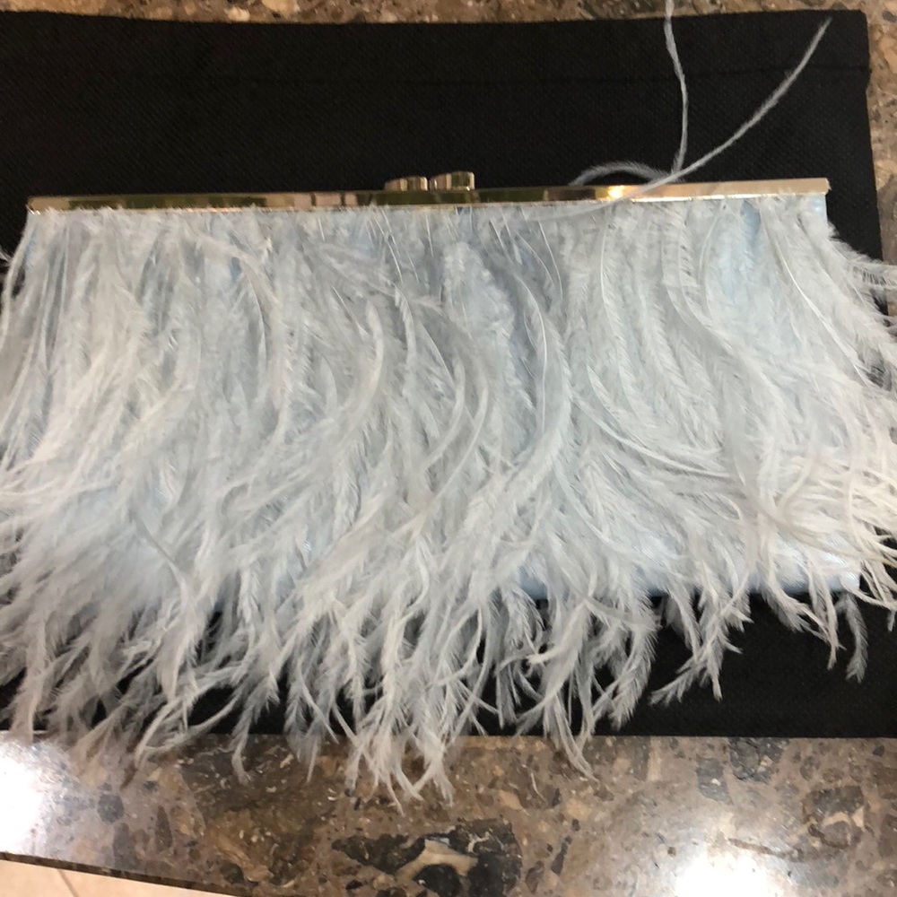 Blue Feather BCBG clutch